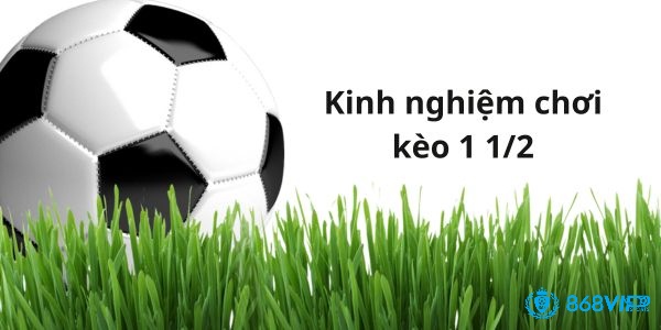 Hãy theo dõi tỷ lệ biến động kèo khi đặt cược