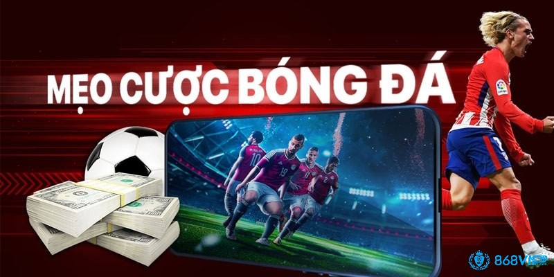 Học hỏi kinh nghiệm chơi kèo 2 3/4 từ cao thủ và chuyên gia