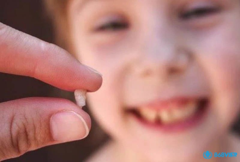 Giải mã giấc mơ thấy rung rang theo từng bối cảnh