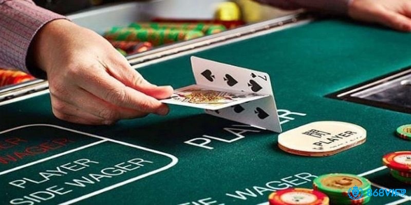 Khám phá cách nhận biết và theo dõi cầu hiệu quả từ các tay chơi chuyên nghiệp
