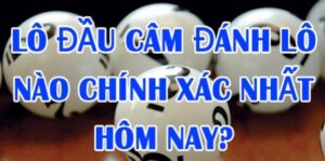 Lô câm đầu hôm sau đánh con gì? Bí quyết nuôi lô hiệu quả