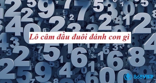 Người chơi có thể nhận biết lô câm đầu qua đặc điểm chuỗi số đặc biệt và áp dụng phân tích thống kê để dự đoán kết quả những ngày sau