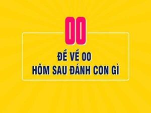 Lô về 00 hôm sau đánh con gì? Bí quyết soi cầu chính xác