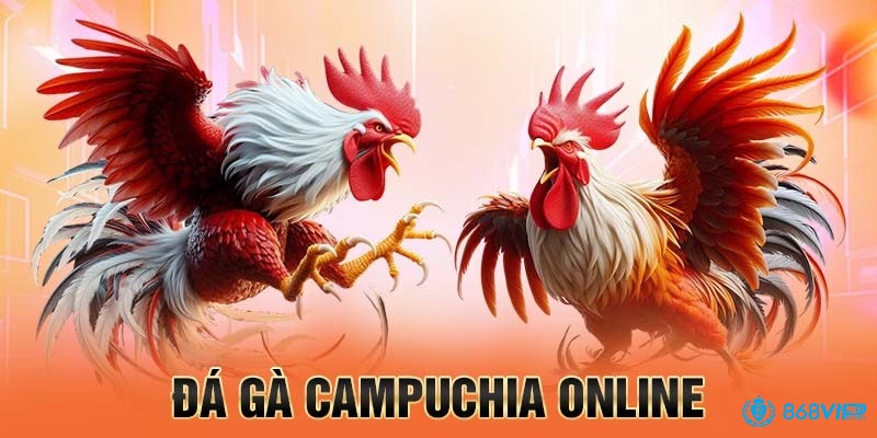 Các nền tảng xem đá gà trực tiếp nhiều chế độ phát sóng khác nhau phù hợp với điều kiện kết nối internet của từng người dùng