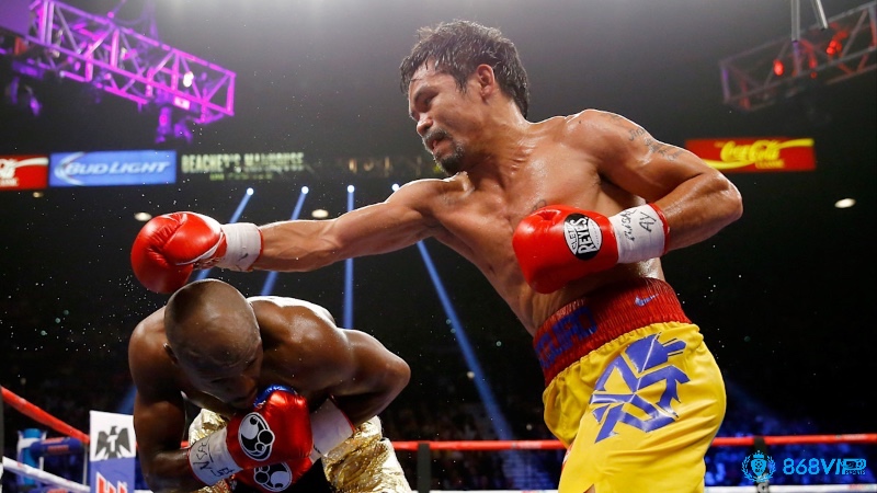 Những trận boxing kinh điển thu hút hàng triệu người hâm mộ và người chơi cá cược.