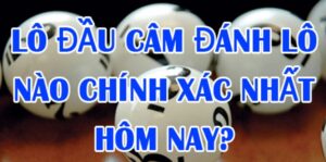 Lô đầu 0 câm thì đánh con gì? Bí quyết từ cao thủ lô đề