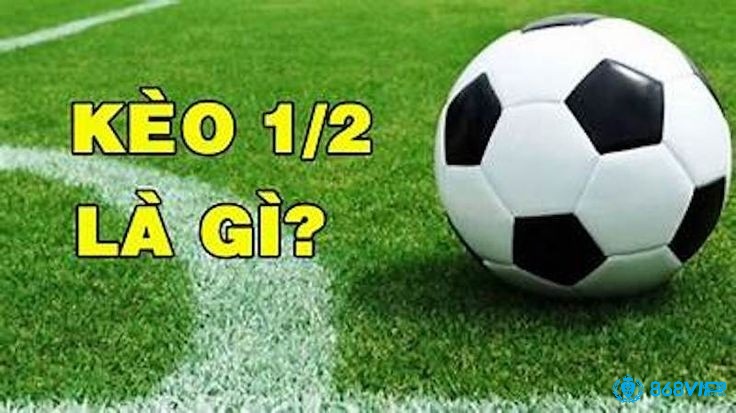 Kèo nửa trái bóng đá còn được biết đến là kèo chấp 0.5