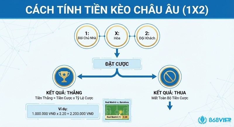 Sơ đồ hướng dẫn cách tính tiền kèo châu Âu (1X2) chi tiết từ lựa chọn đặt cược đến kết quả thắng thua với ví dụ minh họa