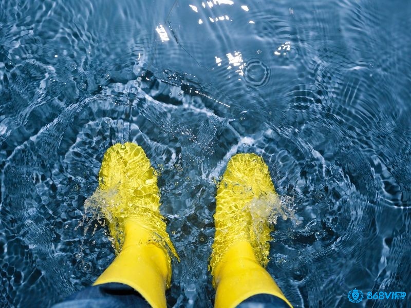 Giấc mơ thấy nước ngập trong và hiền hòa thể hiện cho sự bình yên trong cuộc sống của bạn