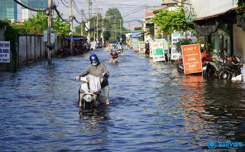 Giải mã giấc mơ thấy ngập đường mang đến cho bạn nhiều con số may mắn mỗi ngày