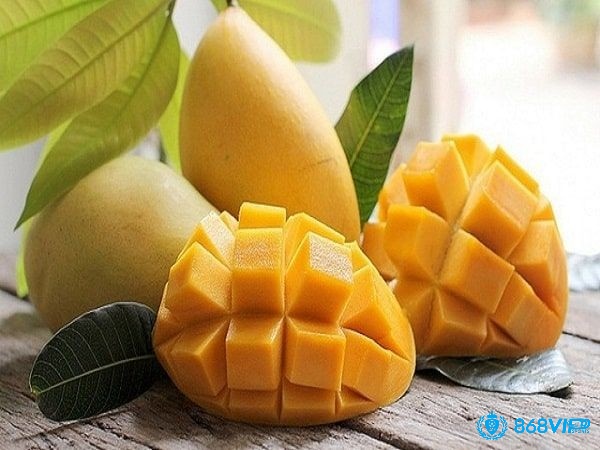 Mơ thấy quả xoài đã chín mềm cho thấy bạn đã chuẩn bị đủ và sẵn sàng bước tiếp